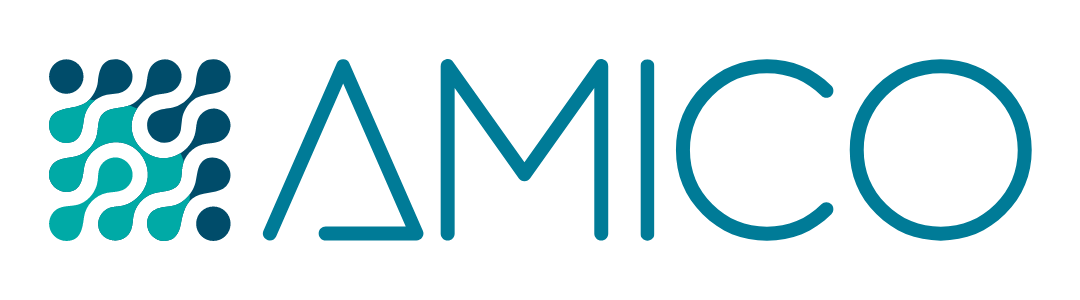 AMICO Group