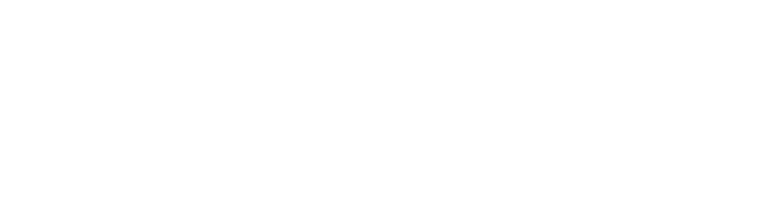 AMICO Group